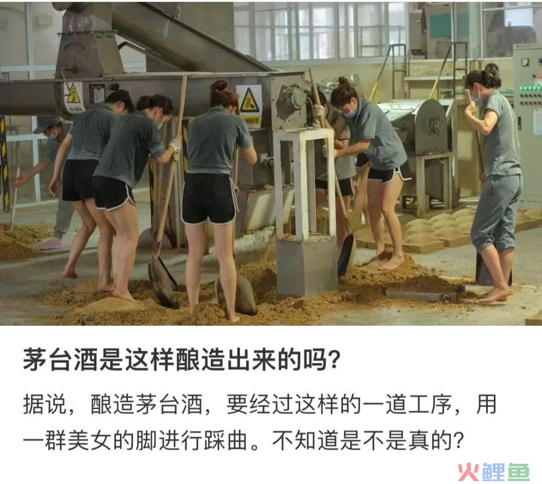 茅台“少女洗脚照”曝光被夸，康师傅蚌埠住了