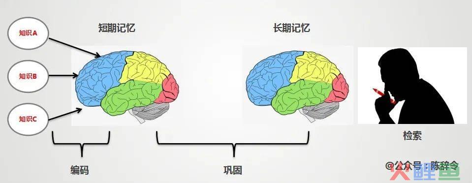 我的箱底货：高效学习的底层方法（7000字长文）