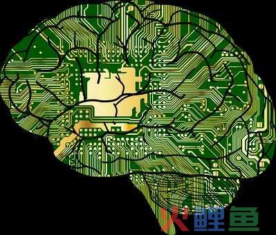 闲鱼用户违反法规账号被处置
