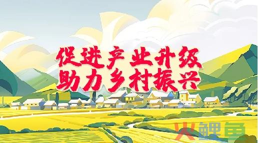 兴农易买：电商助农新风潮，实现买卖双赢