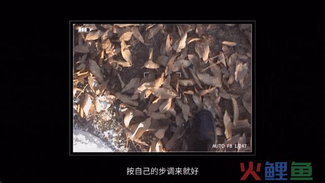 更适合跨年转发的品牌片，被拍出来了