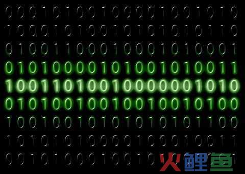 拼多多新店运营技巧 拼多多新手运营店铺实操