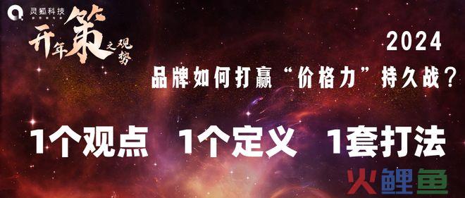 2024，品牌如何打赢“价格力”持久战？丨灵狐科技：1个观点 1个定义 1套打法