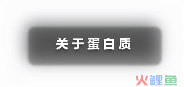 科普篇 能量、碳水、脂肪及卵白质的关系