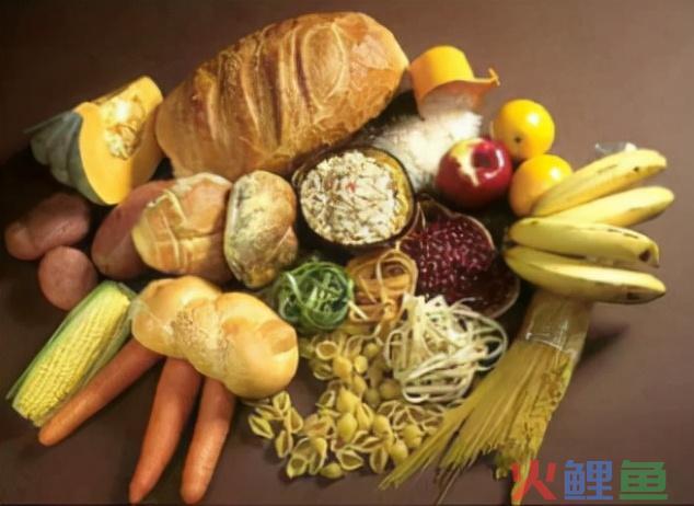 科普篇 能量、碳水、脂肪及卵白质的关系