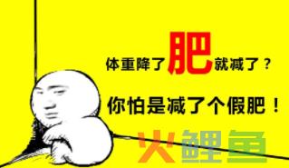 科普篇 能量、碳水、脂肪及卵白质的关系