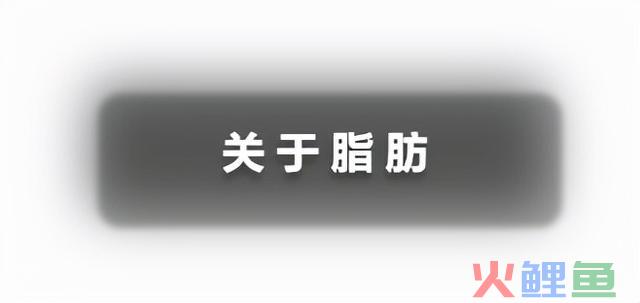 科普篇 能量、碳水、脂肪及卵白质的关系