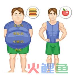 科普篇 能量、碳水、脂肪及卵白质的关系