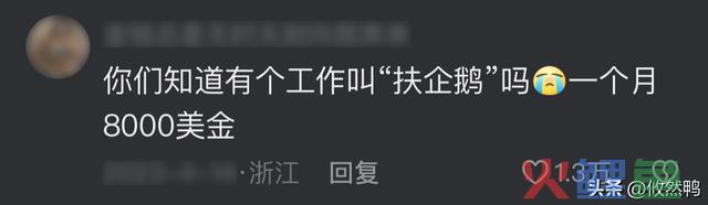 本来那些不起眼的小买卖，居然这么赢利