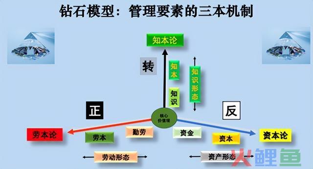 杨杜：思维纷歧样，你就比他人多活一个时代