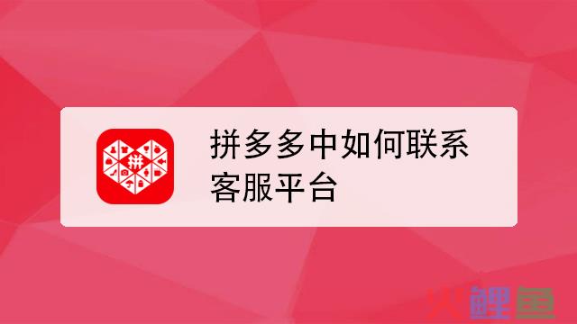 拼多多对官方客服评价在哪里？官方客服怎么转人工？