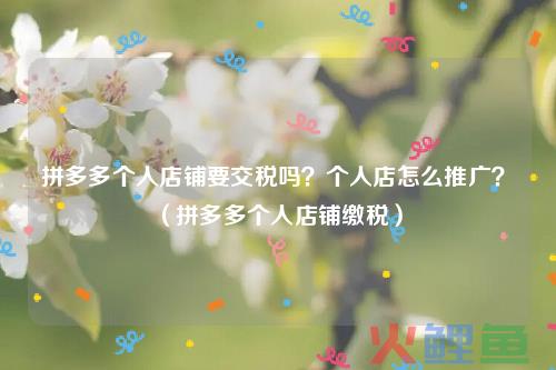 拼多多网店收入要交个人所得税吗？需要交哪些费用？