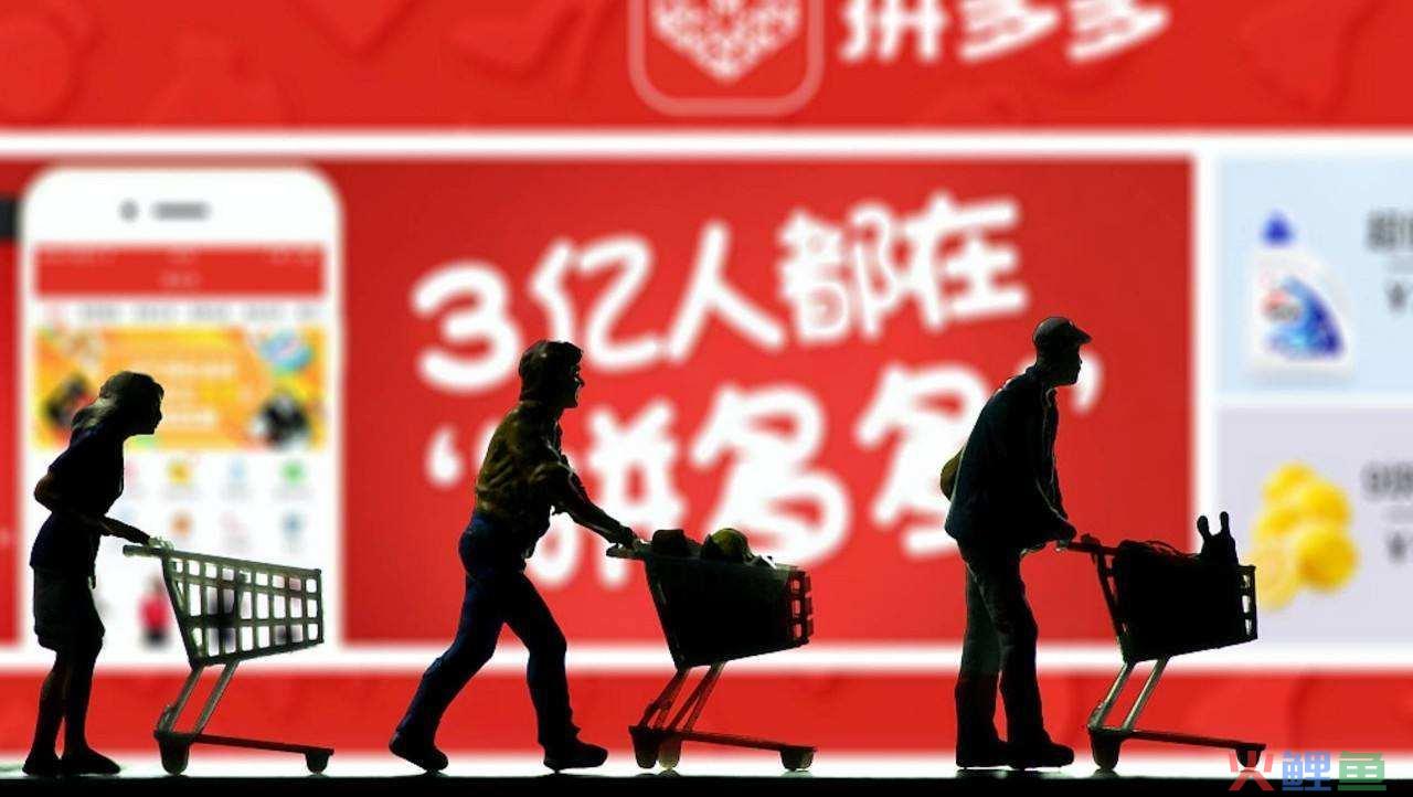 拼多多新手小白如何运营？给新手小白的运营指南