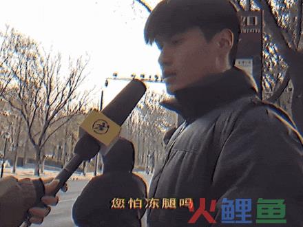 美团岁末营销案例分析