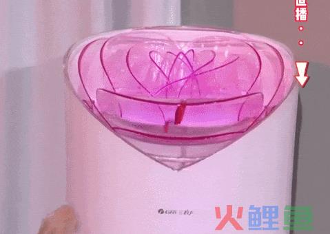 丑哭全网的格力“玫瑰空调”，终于吹不下去了！