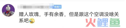 丑哭全网的格力“玫瑰空调”，终于吹不下去了！