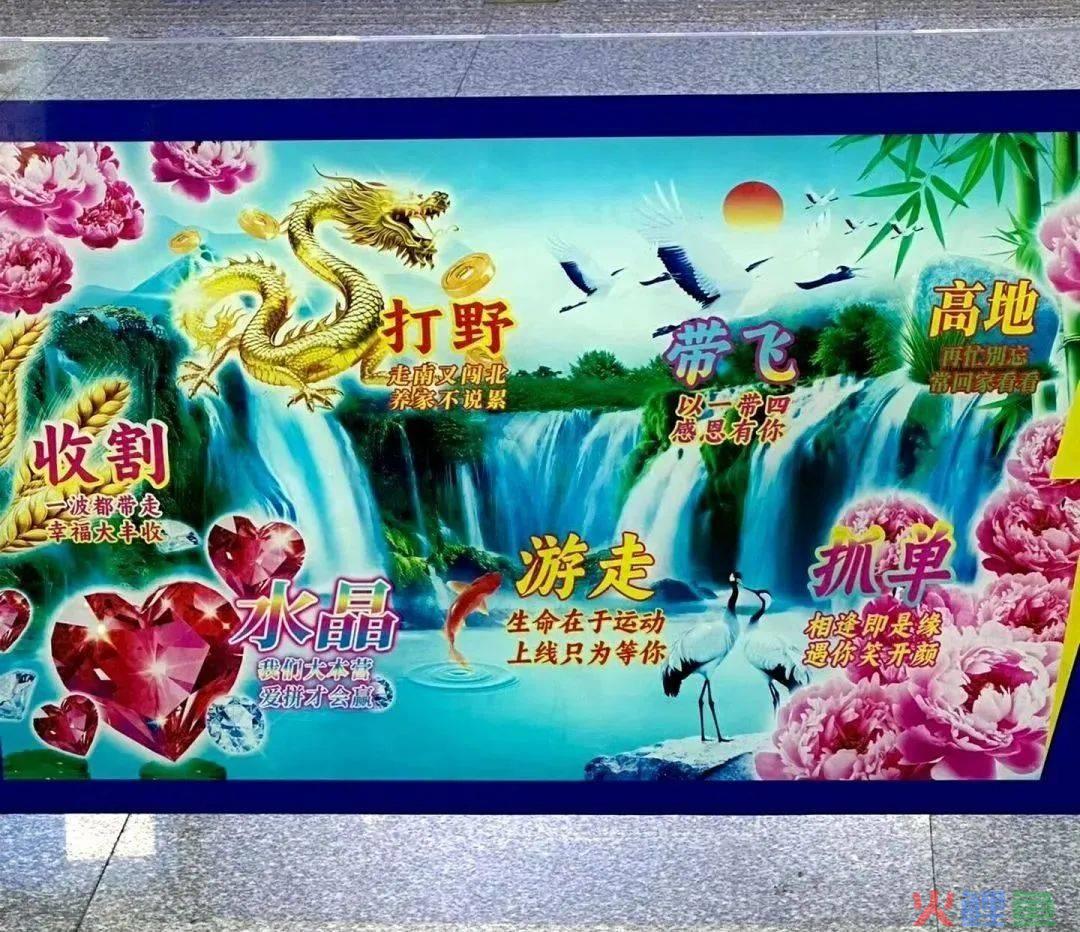 丑哭全网的格力“玫瑰空调”，终于吹不下去了！