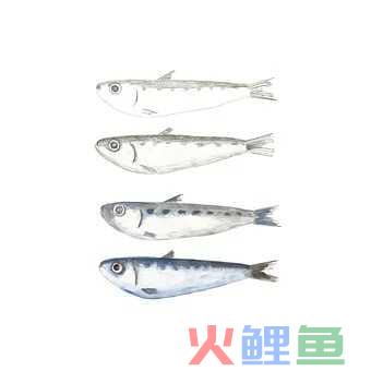 亚马逊新店铺怎么快速出单 亚马逊新店销量怎么样 如何提升呢