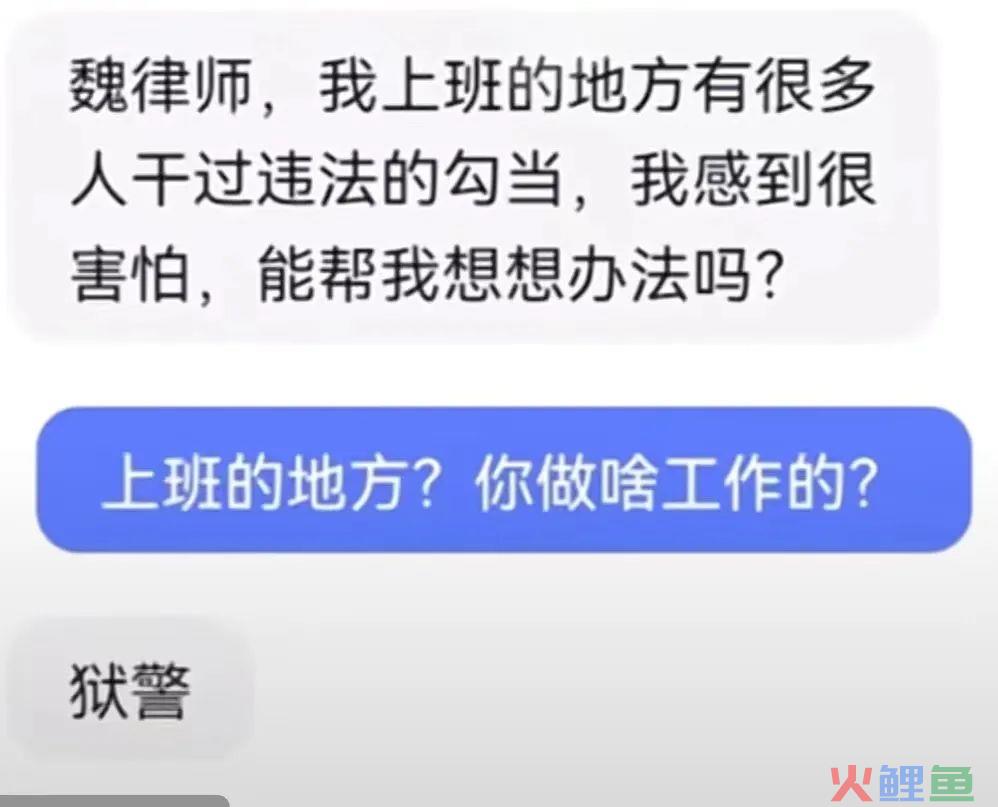 “律政佳人”，抖音淘金