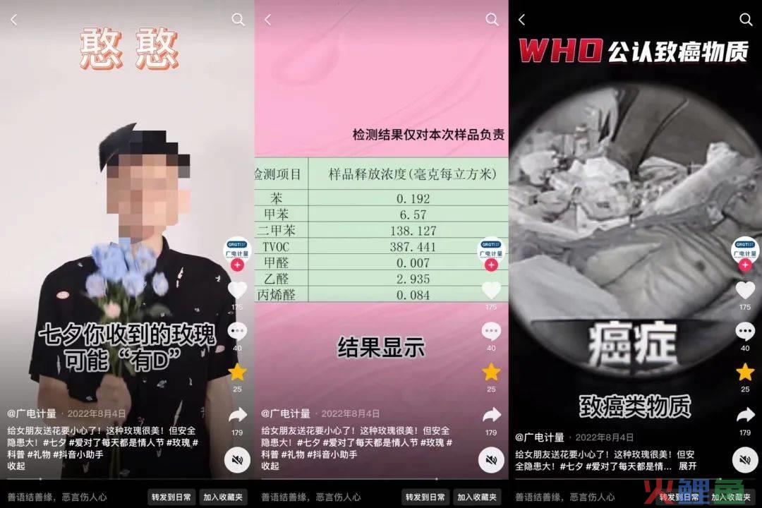 野兽派里的“毒玫瑰”