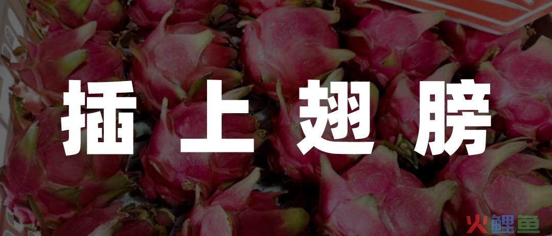 数字时代，农民的“赛博致富经”是什么？