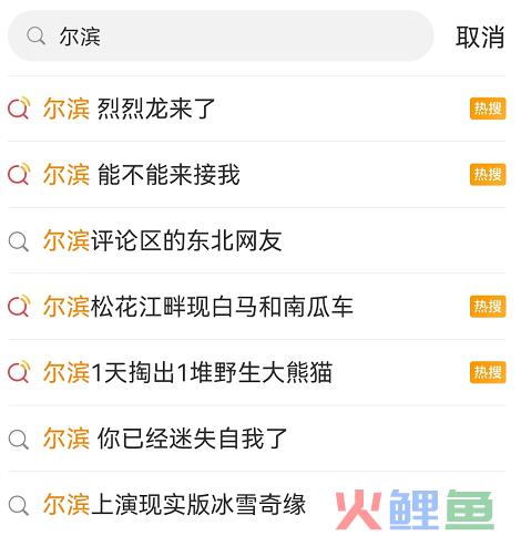 背刺东北的尔滨，第二个“淄博”？