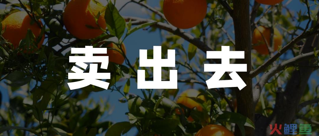 数字时代，农民的“赛博致富经”是什么？