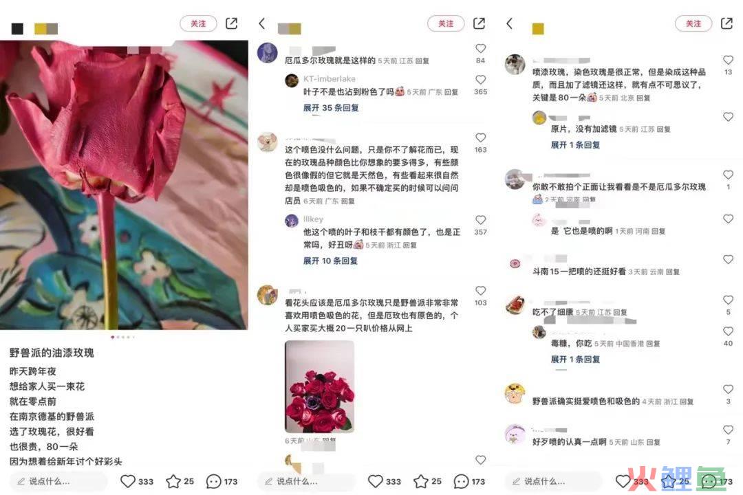 野兽派里的“毒玫瑰”