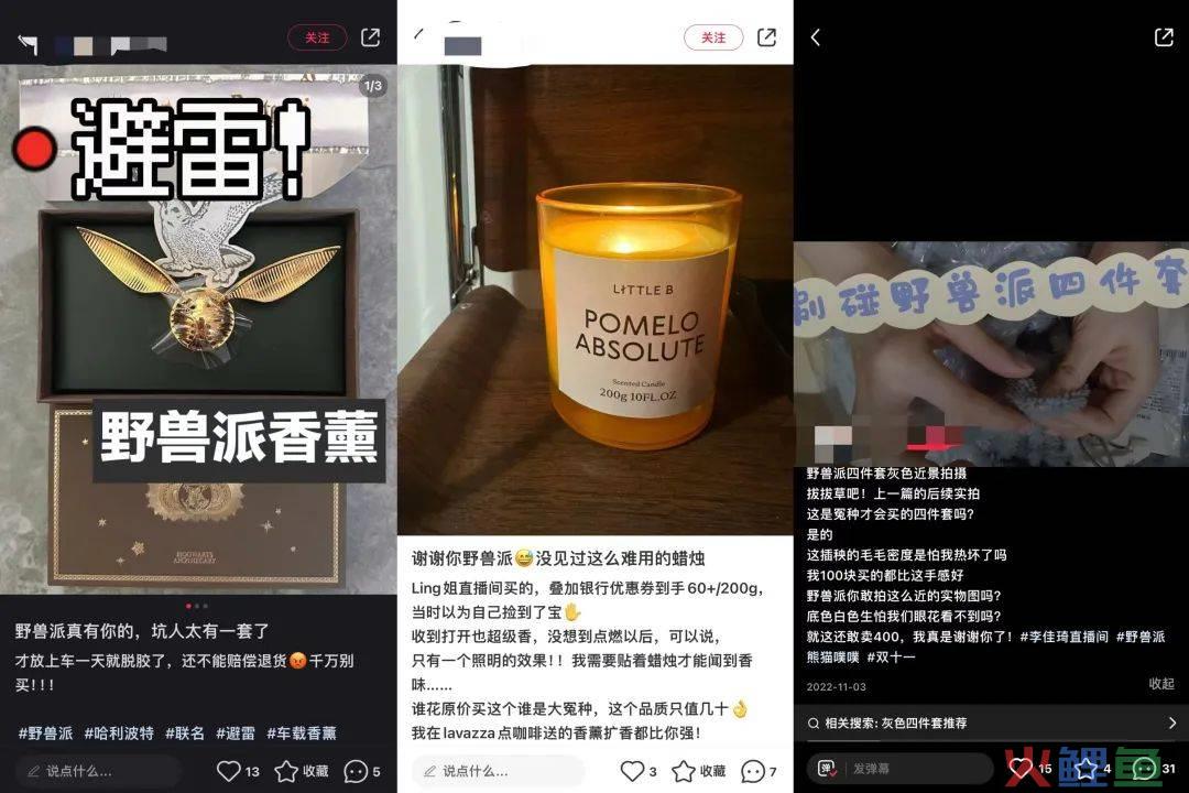 野兽派里的“毒玫瑰”