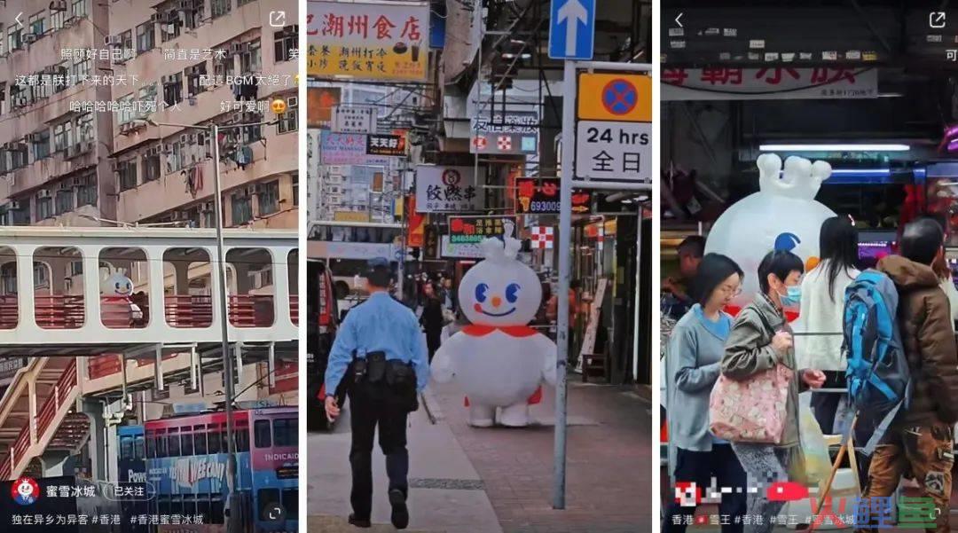 被放养的“雪王”，难以复制