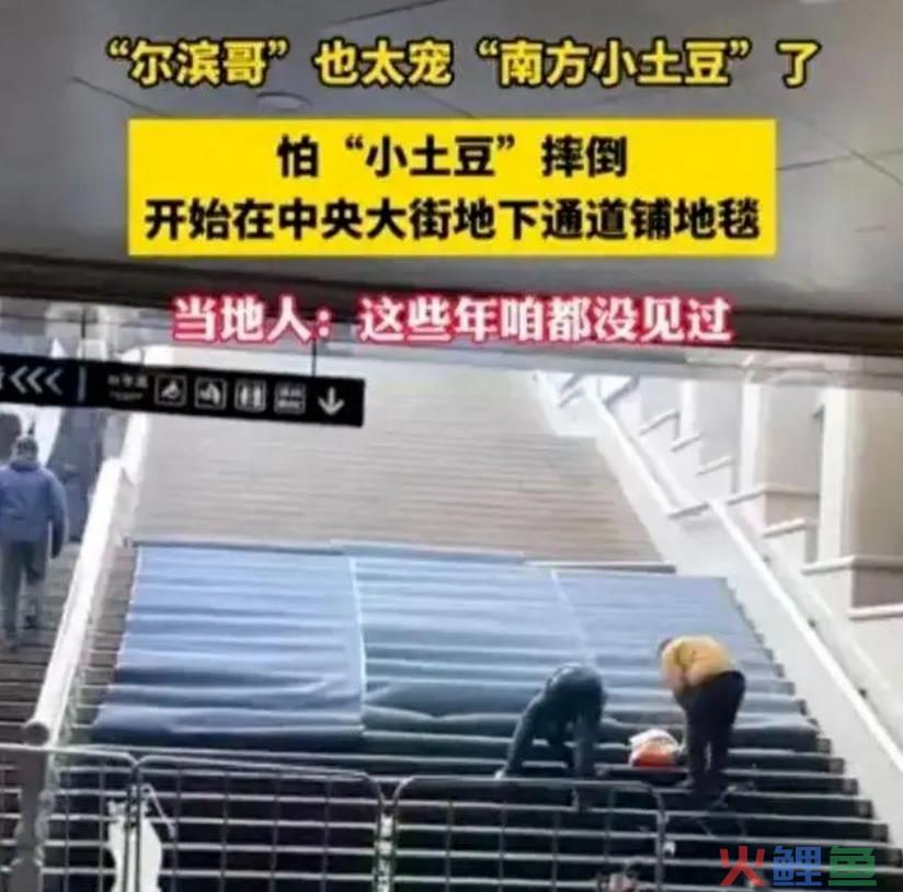 背刺东北的尔滨，第二个“淄博”？