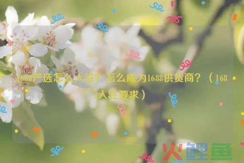 如何一键入驻“1688货通全球”？获得更多商机？