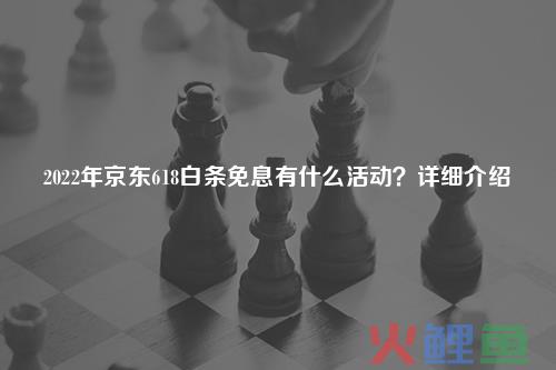 2024年京东年货节白条免息招商活动政策