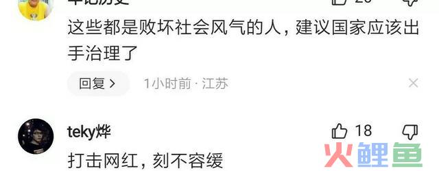 网红是什么人，谁成就了网红
