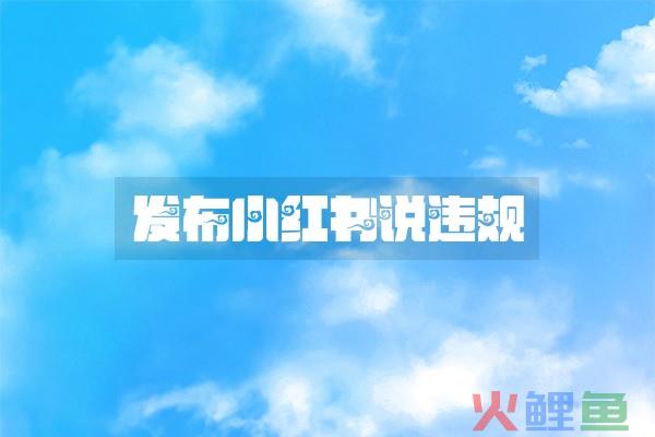 小红书安心购的服务保障权益要求