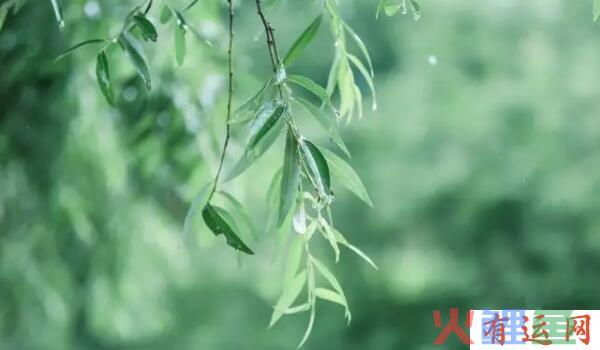 2月份有什么购物节？淘宝购物节如何参加？