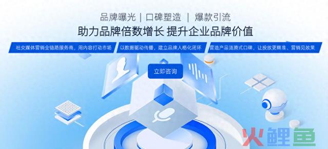视频号营销：新的数字营销策略，创造卓越的品牌影响力 