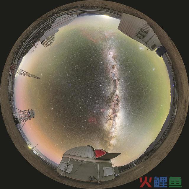 野生智能怎样管？新冠此后怎样治？《自然》《科学》展望2024值得关注的科学事务