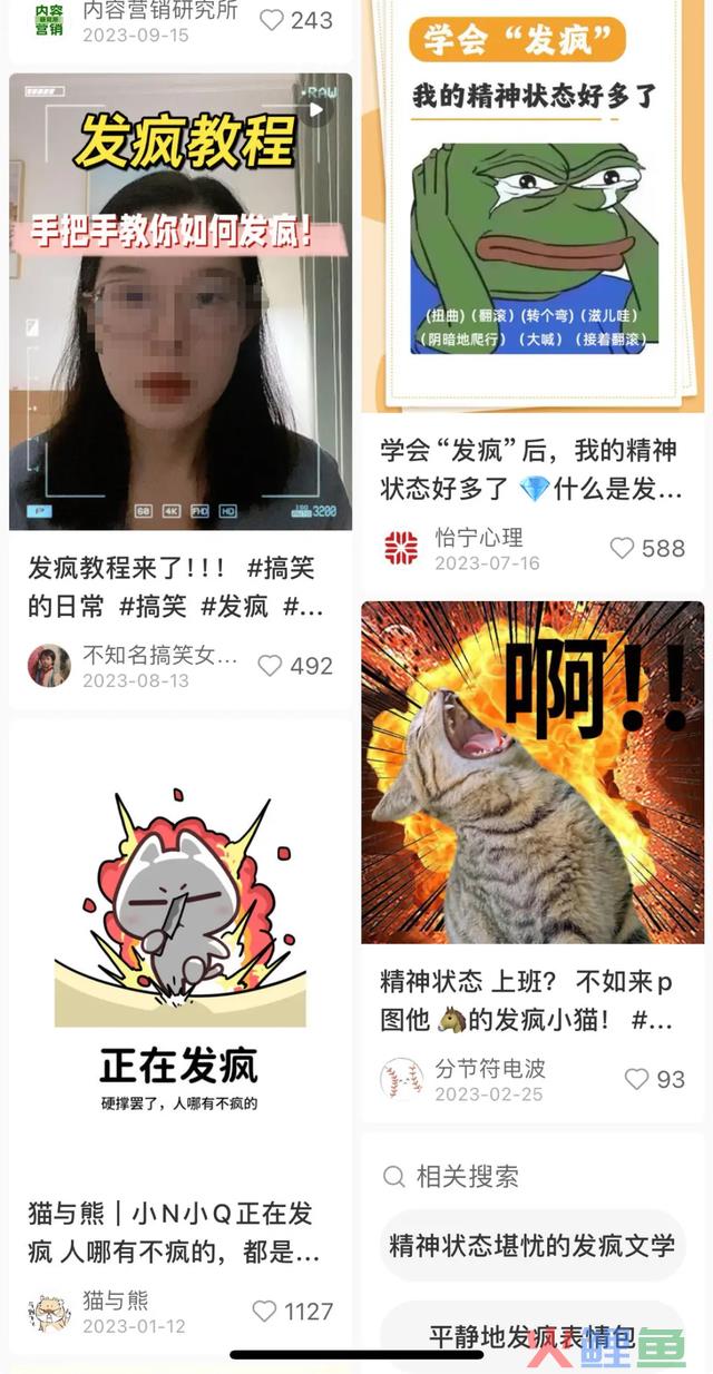2024年，品牌营销若何正确“发狂”？