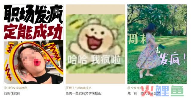 2024年，品牌营销若何正确“发狂”？