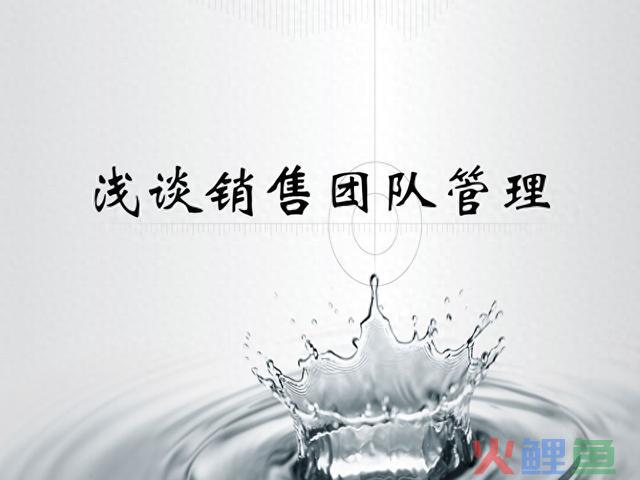 浅谈销售团队管理 