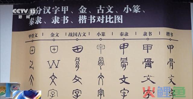 大数据、云计算、数字技术助力甲骨文的“破译”之路 