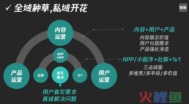 2024流量共生，公域做范围，私域要复利