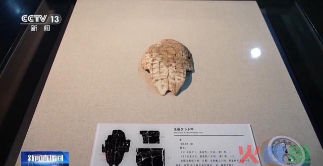 大数据、云计较、数字技术助力甲骨文的“破译”之路