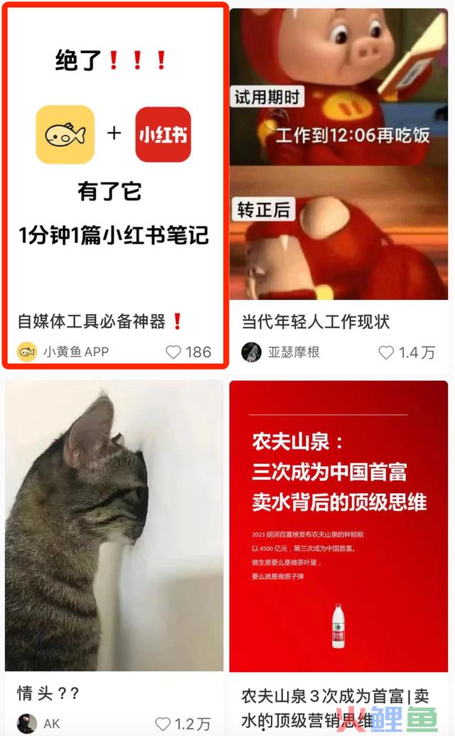7天涨粉3w+，我总结了一套合适新手的小红书运营攻略