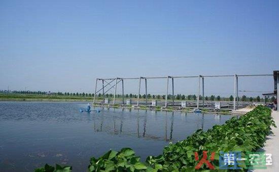 2024年养鱼赚钱吗？养鱼补贴有没有？