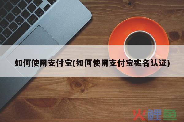 支付宝易安检如何使用？支付宝易安检有什么用？
