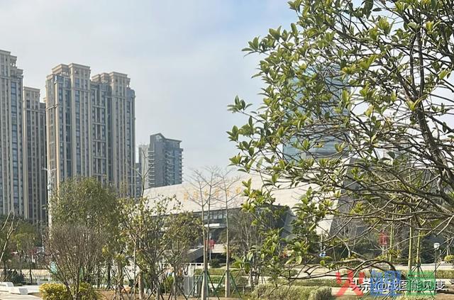 自媒体有个赛道，可以年入个7位数，我始终不敢去做 