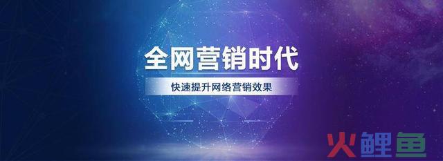 全网推行，让你的营销战略加倍周全