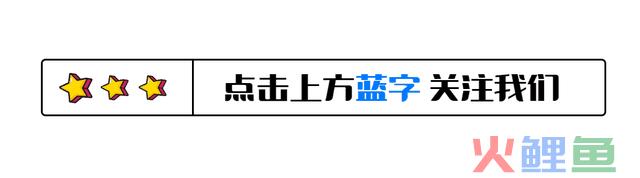 全网“赚翻了”的3位网红，个个赚的盆满钵满，其中一位收入上亿 